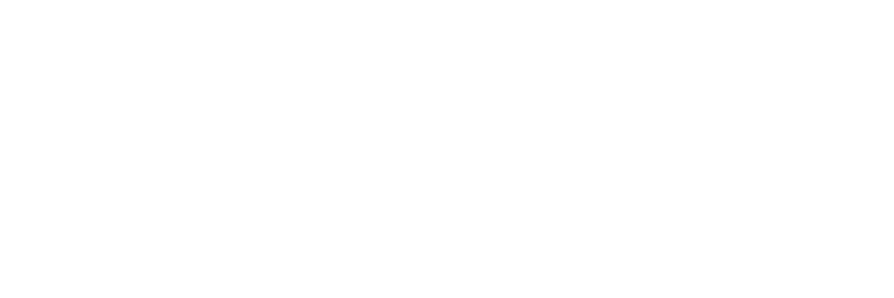 Bluestones Group logo